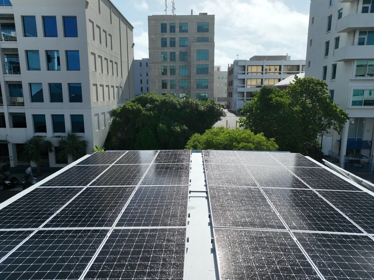 Solar panels across a flat office roof among the buildings of Hamilton